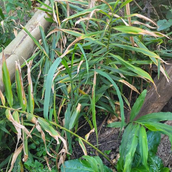 WhatsApp Image 2023-05-30 at 17.08.25.jpeg